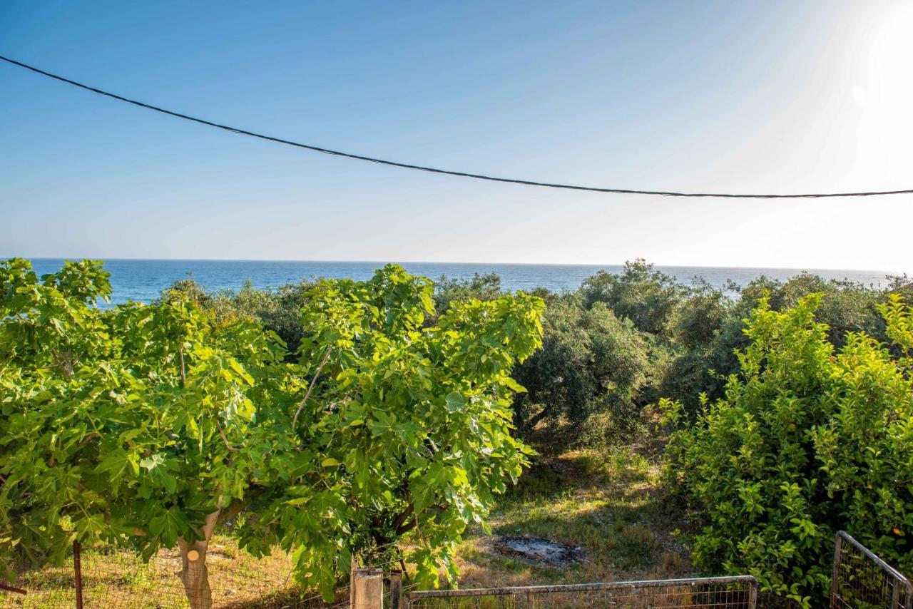 The Happiness Of Vangelis Paralia Vrachou Exterior foto